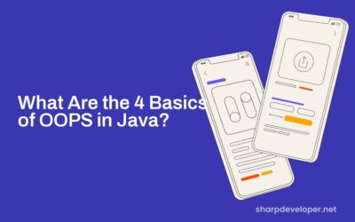 What Are the 4 Basics of OOPS in Java?