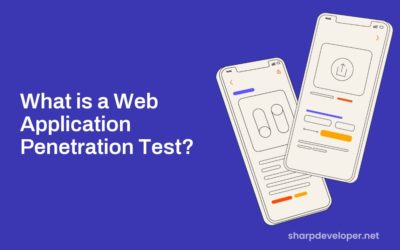 What is a Web Application Penetration Test?